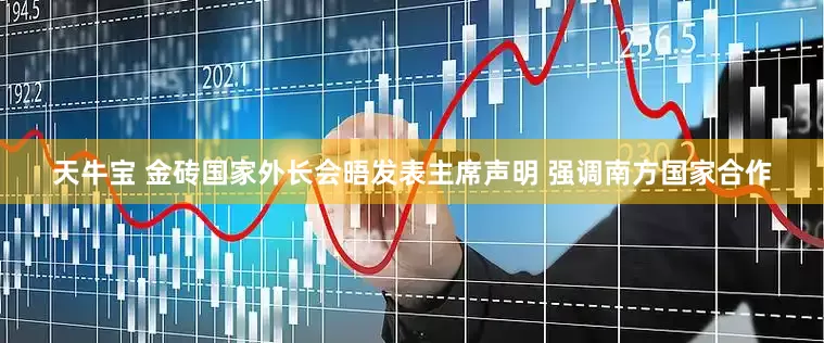 天牛宝 金砖国家外长会晤发表主席声明 强调南方国家合作