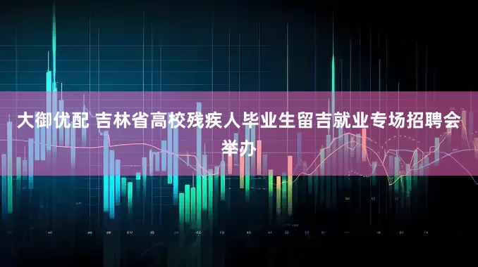 大御优配 吉林省高校残疾人毕业生留吉就业专场招聘会举办