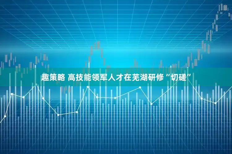 趣策略 高技能领军人才在芜湖研修“切磋”
