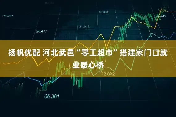扬帆优配 河北武邑“零工超市”搭建家门口就业暖心桥