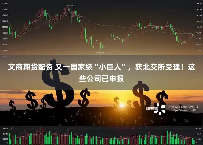 文商期货配资 又一国家级“小巨人”，获北交所受理！这些公司已申报