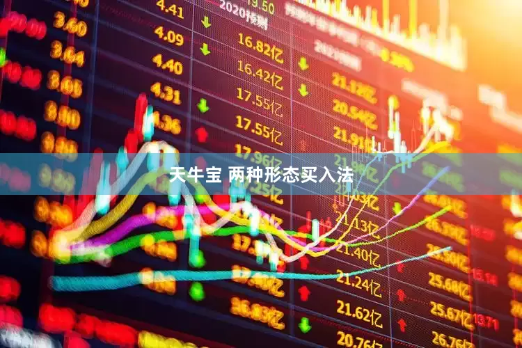 天牛宝 两种形态买入法
