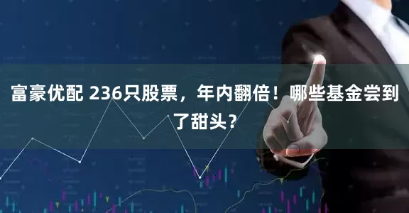 富豪优配 236只股票，年内翻倍！哪些基金尝到了甜头？